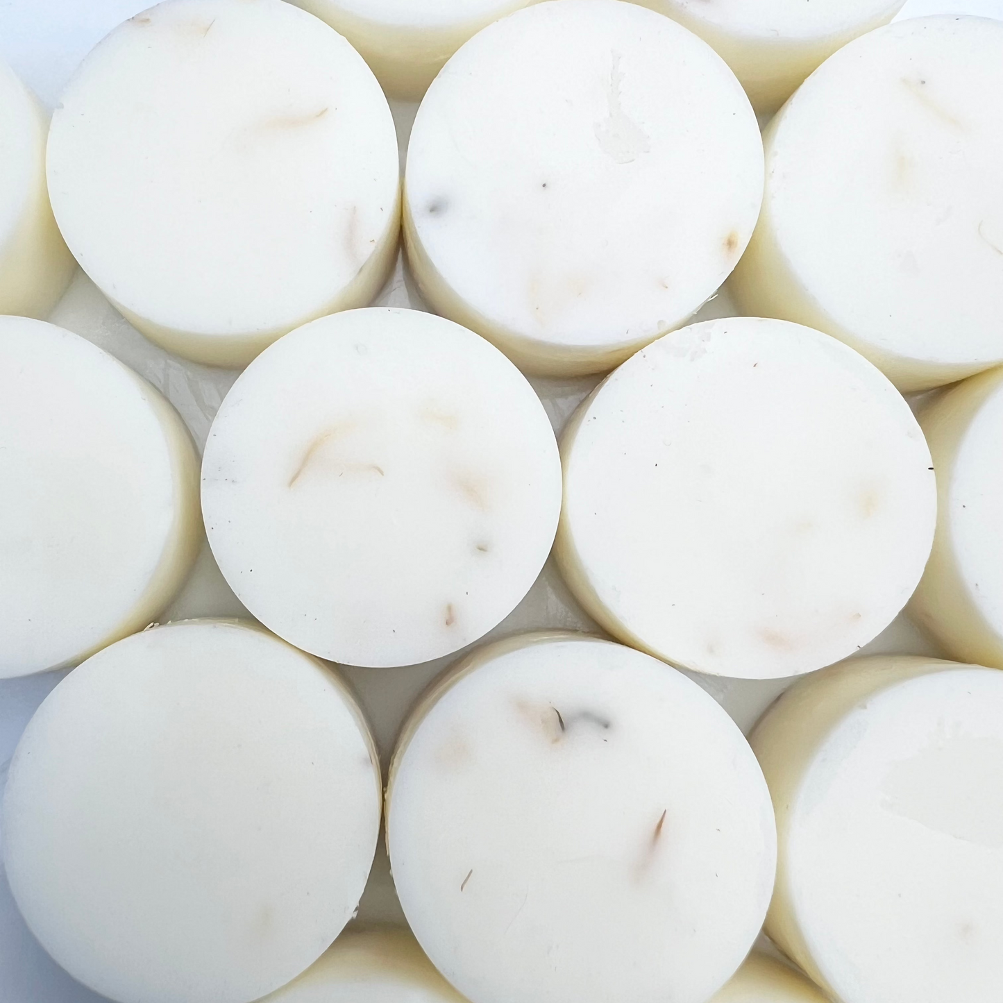 White Sage & Sea Salt | Wax Melt